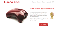Desktop Screenshot of lumbacurve.com